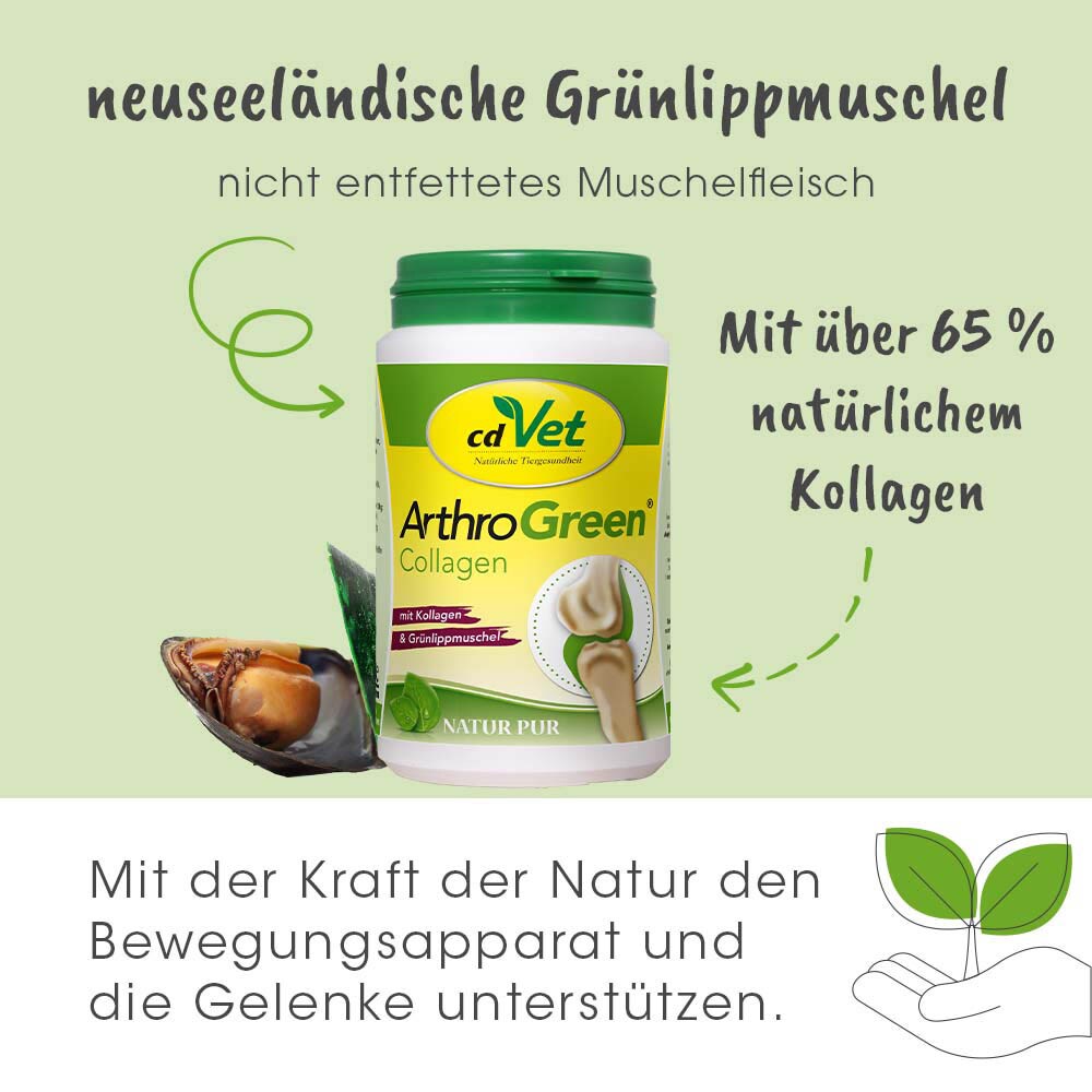 cdVet ArthroGreen Collagen_4