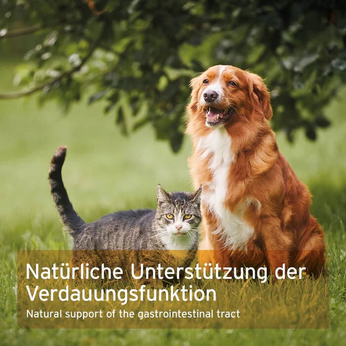 AniForte Flohsamenschalen_5