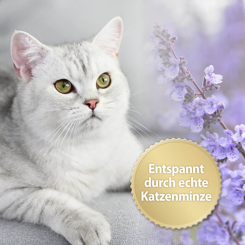 Felisept Home Comfort Spray für Katzen_1
