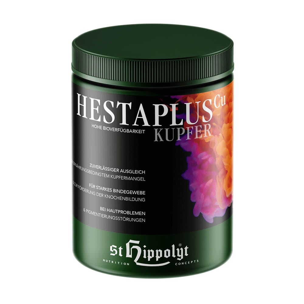 St. Hippolyt Hesta plus Kupfer_0