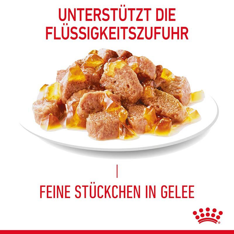 Royal Canin Urinary Care Nassfutter für Katzen in Gelee zur Unterstützung der Harnwege_2