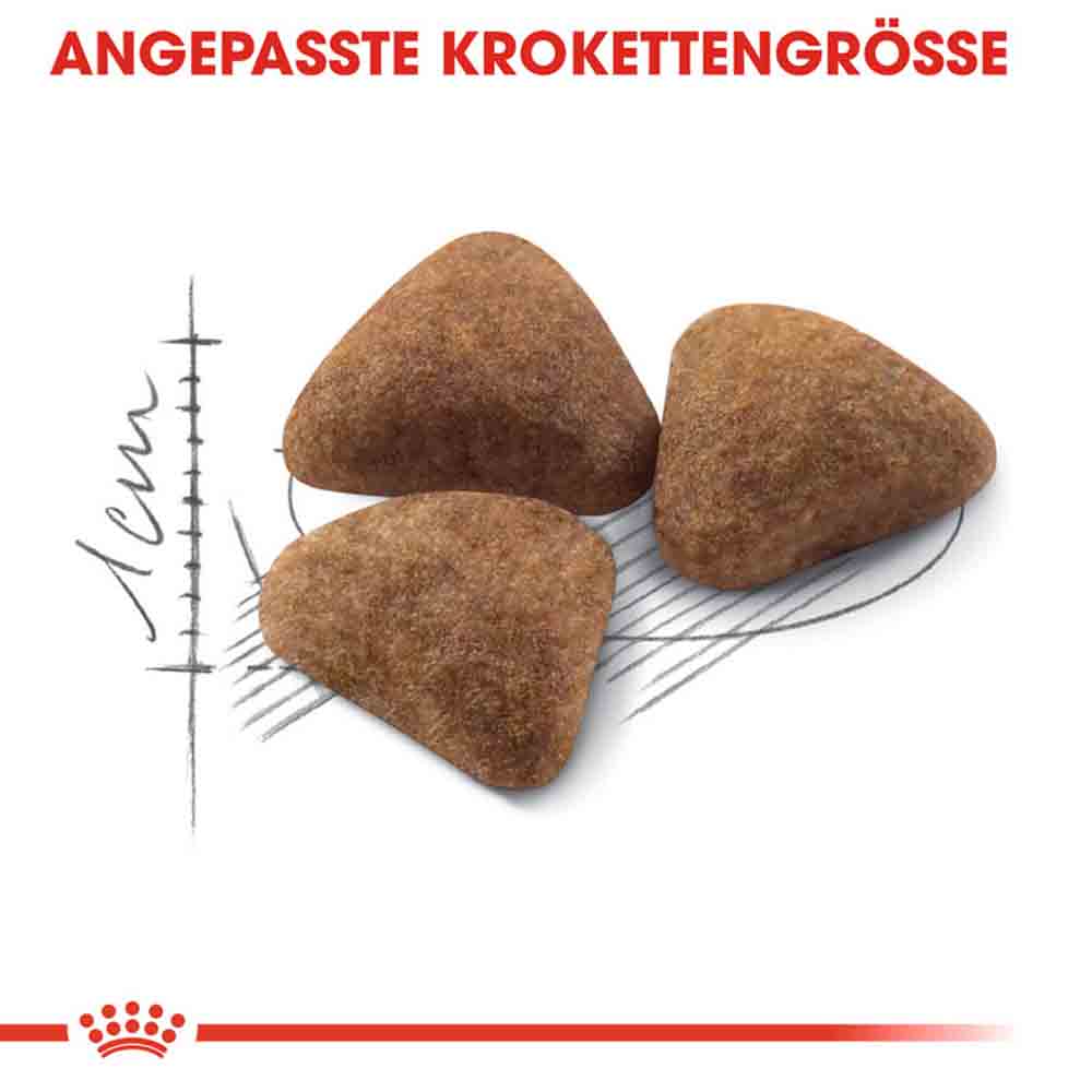 Royal Canin Indoor 27 Trockenfutter für Wohnungskatzen_4