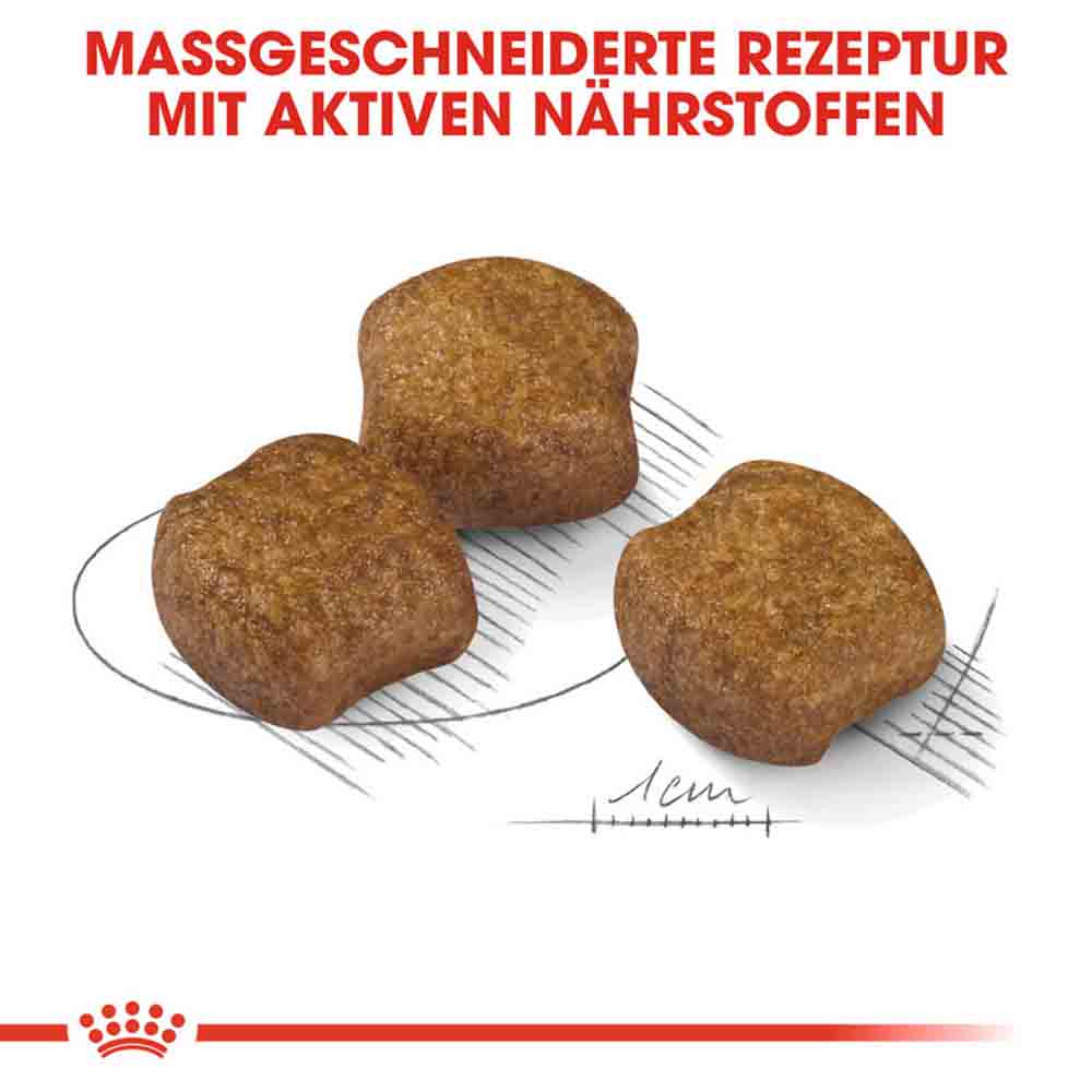 Royal Canin Dental Care Medium Trockenfutter für mittelgroße Hunde mit empfindlichen Zähnen_4