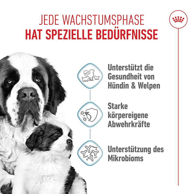 Royal Canin Giant Starter für tragende Hündin und Welpen großer Rassen_1