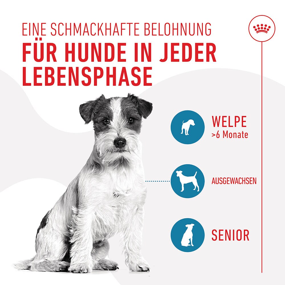 Royal Canin Training Treats_2