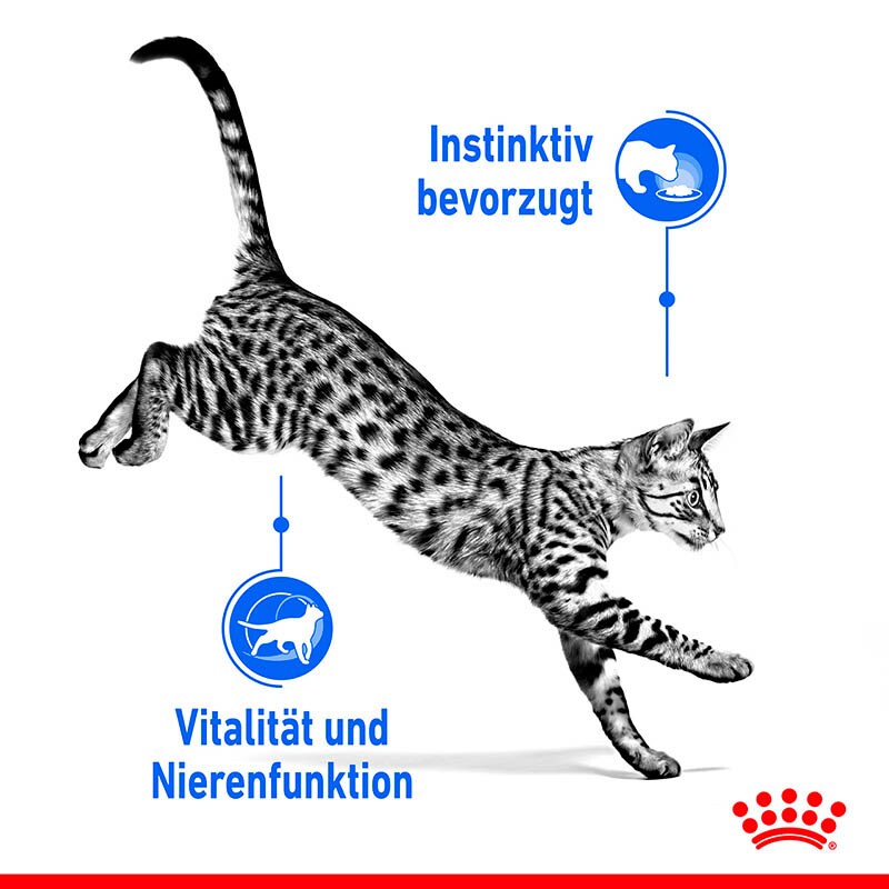 Royal Canin Sterilised 7+ Sterilised in Soße Nassfutter für Wohnungskatzen ab 7 Jahren_3