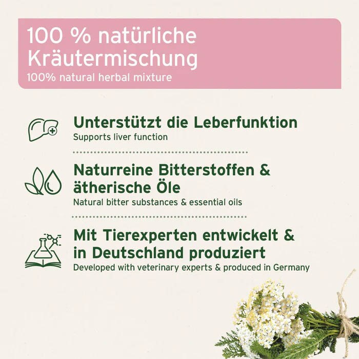 AniForte LeberVetal Kräuter Pulver für Hunde_1
