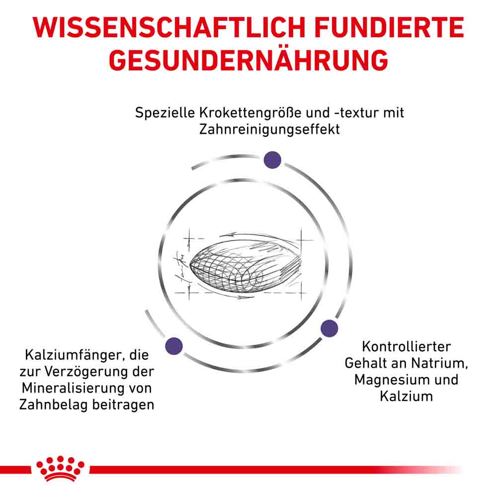 Royal Canin Expert Dental Small Dogs Trockenfutter für Hunde_4