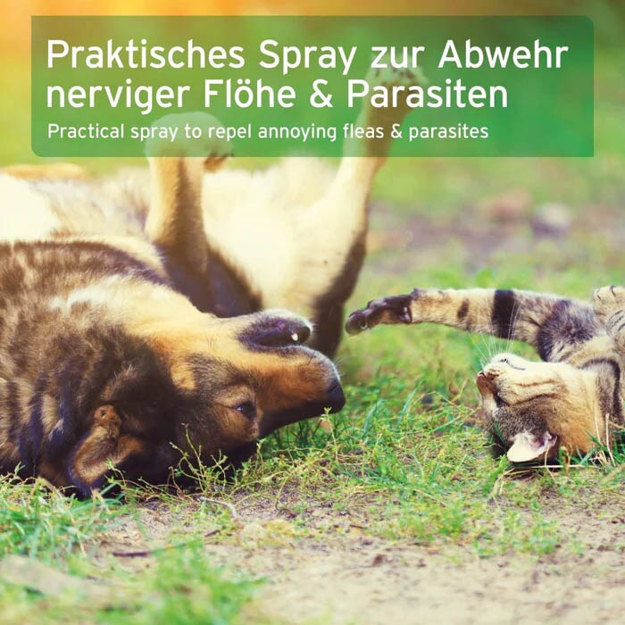 AniForte Floh-EX Spray_4