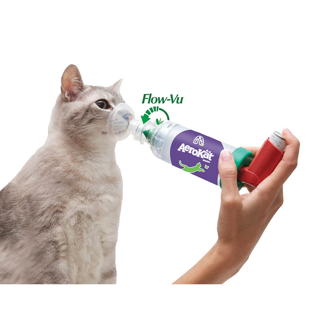 AeroKat für Katzen_0