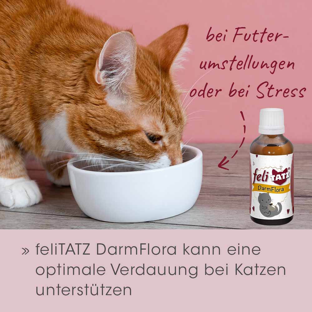 cdVet feliTATZ DarmFlora_6