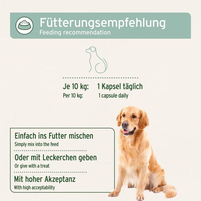 AniForte Grünlippmuschel Kapsel_7