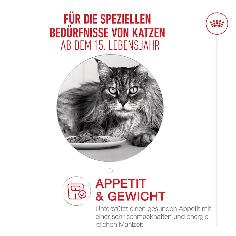 Royal Canin Ageing 15+ Feuchtnahrung in Soße für Senior Katzen ab dem 15. Lebensjahr_2
