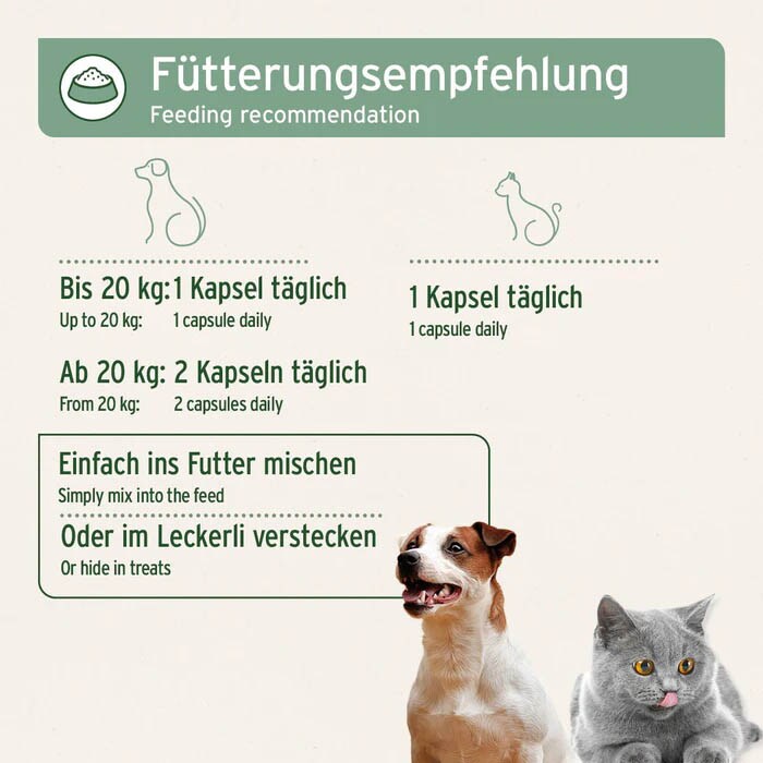 AniForte Lachsöl Kapseln_4