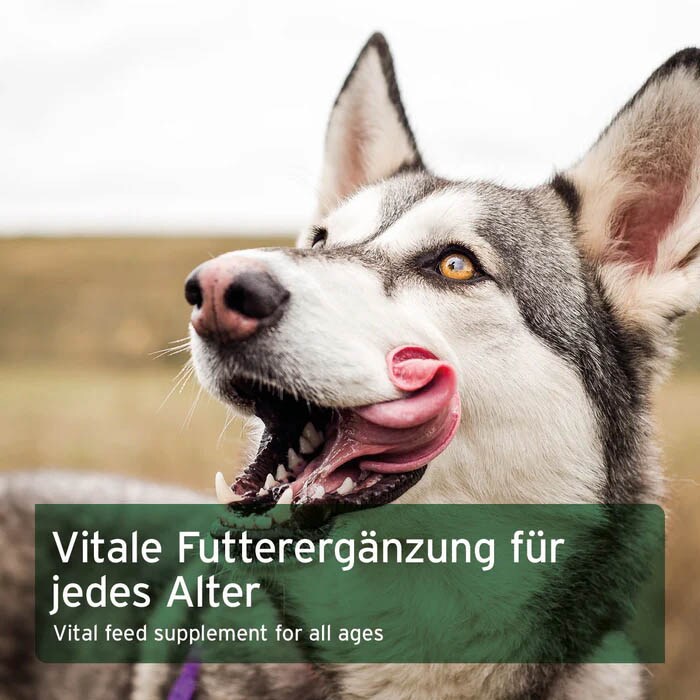 AniForte BARF-Line Gemüse-Kräuter Vielfalt_4