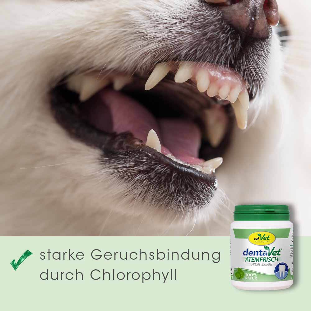 cdVet dentaVet Atemfrisch_2