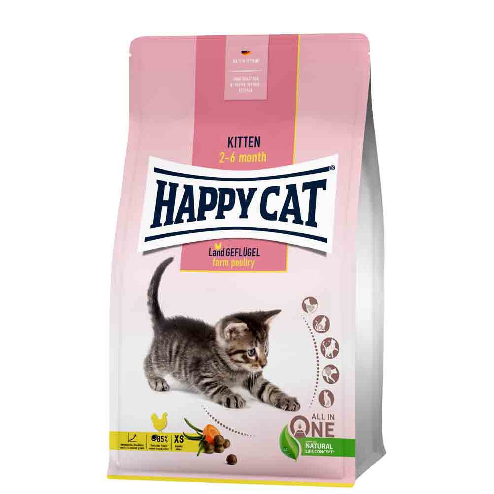 Happy Cat Young Kitten Land Geflügel_0