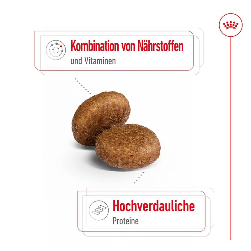 Royal Canin Maxi Adult 5+ Trockenfutter für ältere große Hunde_2