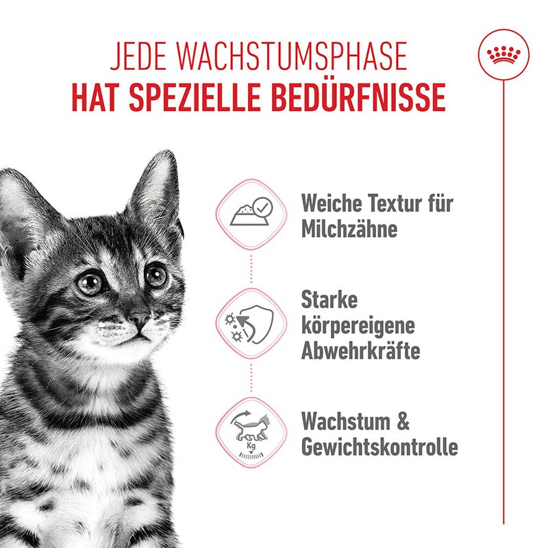 Royal Canin Kitten Sterilised Nassnahrung in Soße für kastrierte Kätzchen_3