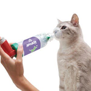 AeroKat für Katzen_2