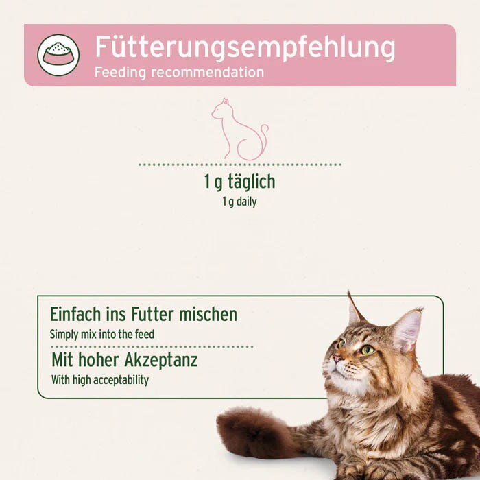 AniForte 4in1 Complete Cat_3