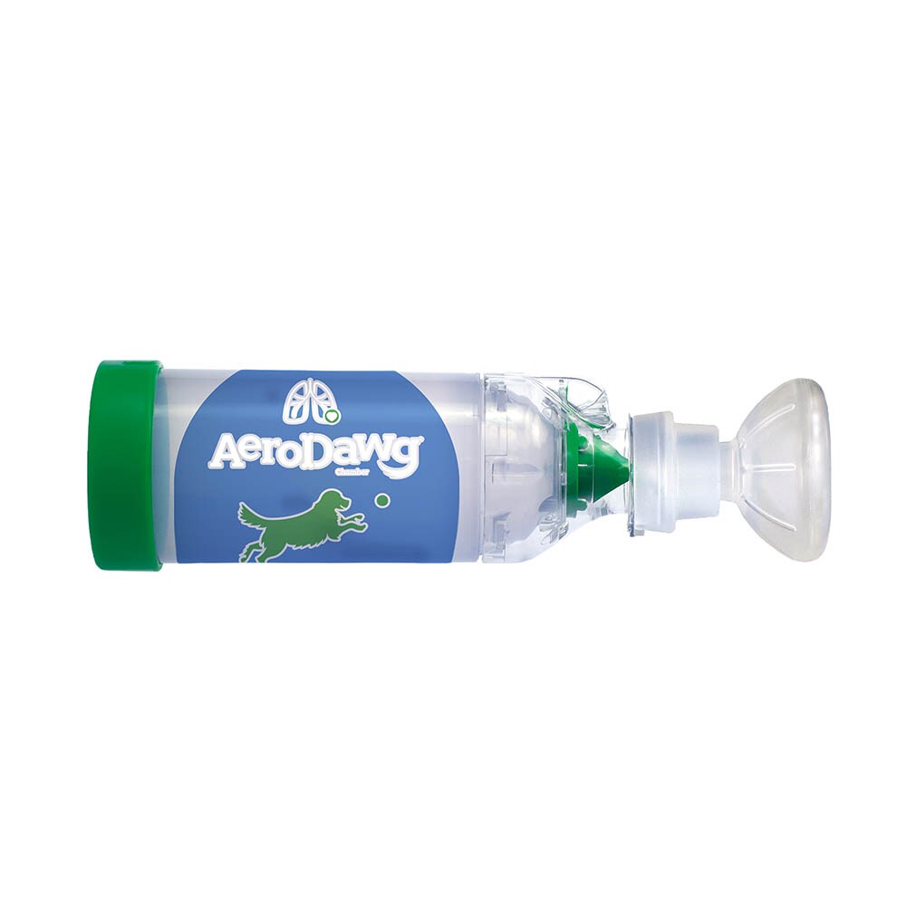 AeroDawg für Hunde_1