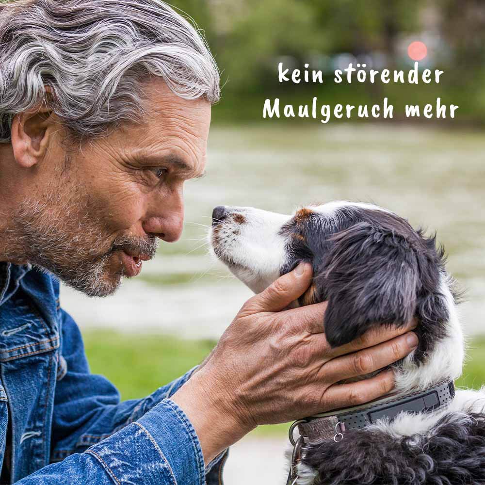 cdVet dentaVet Atemfrisch_5