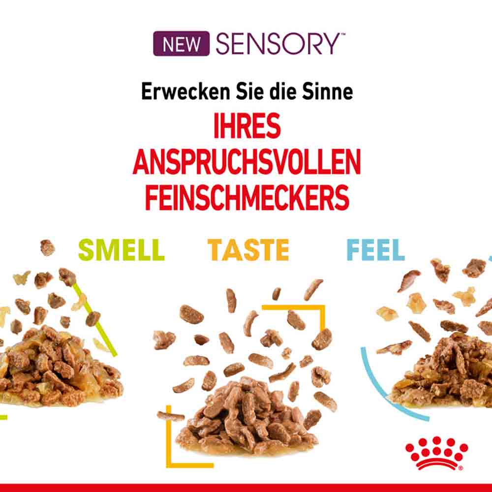 Royal Canin Sensory Smell Nassfutter in Soße für wählerische Katzen_3