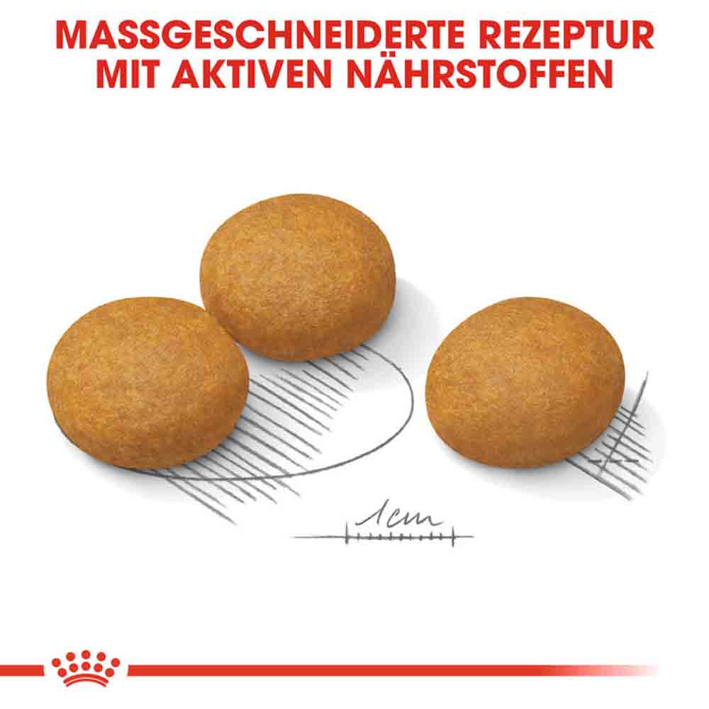 Royal Canin Dermacomfort Maxi Trockenfutter für große Hunde mit empfindlicher Haut_4