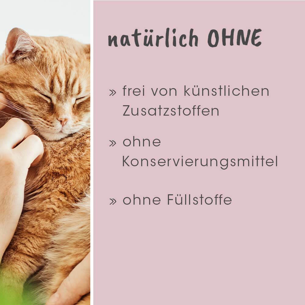 cdVet feliTATZ GeruchsStopp_4