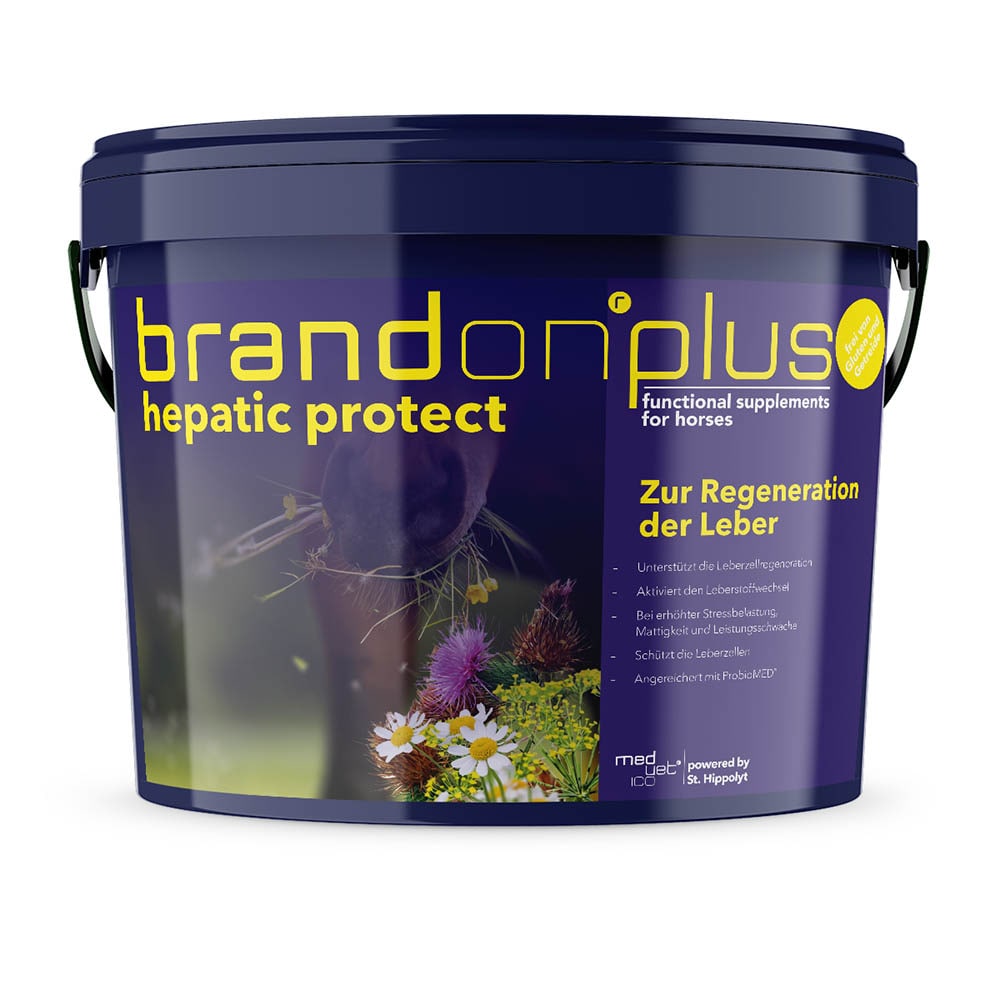 Brandon plus hepatic protect_0