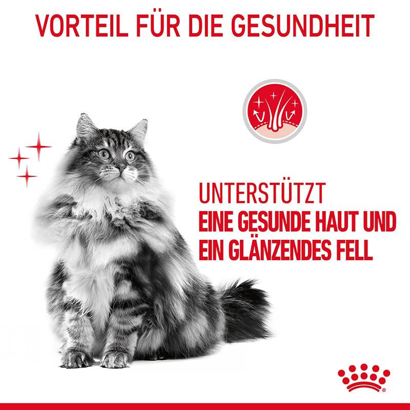 Royal Canin Hair & Skin Care Katzennahrung Feucht für gesundes Fell (Intense Beauty)_3