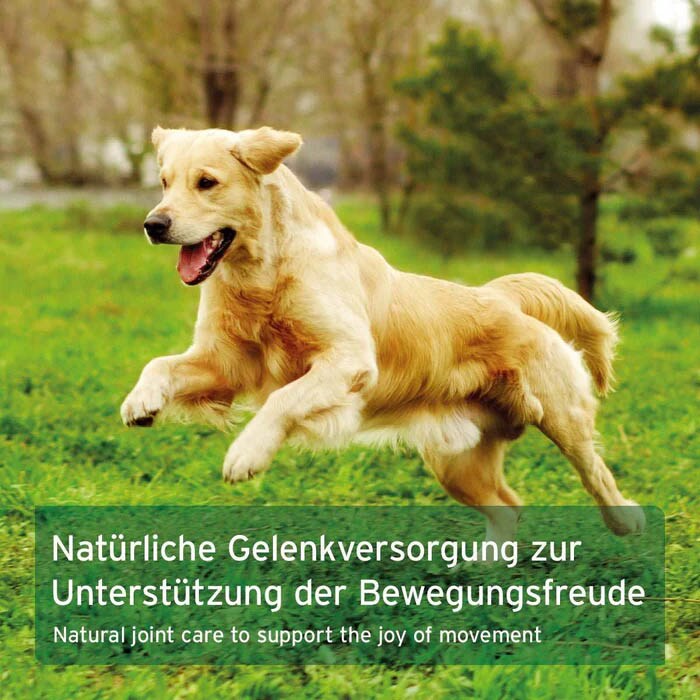 AniForte GelenkVETAL 3 _3
