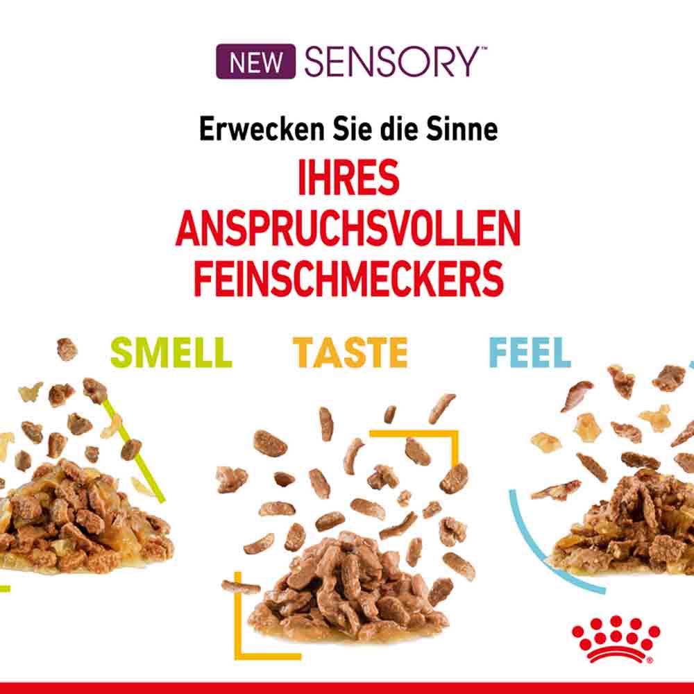 Royal Canin Sensory Smell Taste Feel Nassfutter Multipack in Soße für wählerische Katzen_7