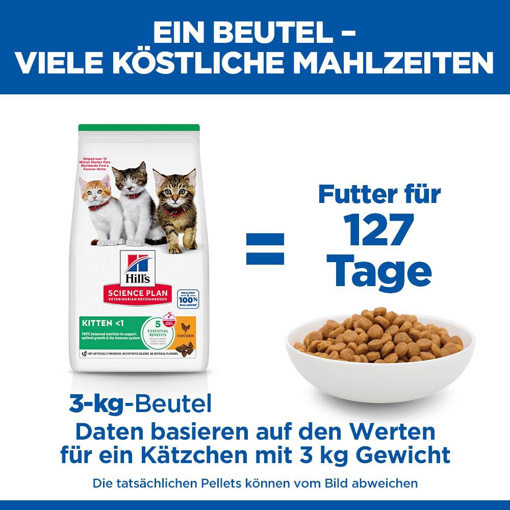 Hills Science Plan Feline Kitten Huhn_6