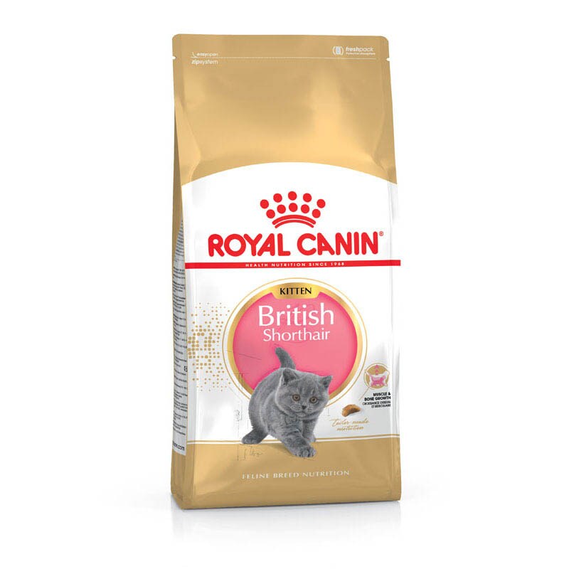 Royal Canin British Shorthair Kittenfutter trocken für BKH Kätzchen _1