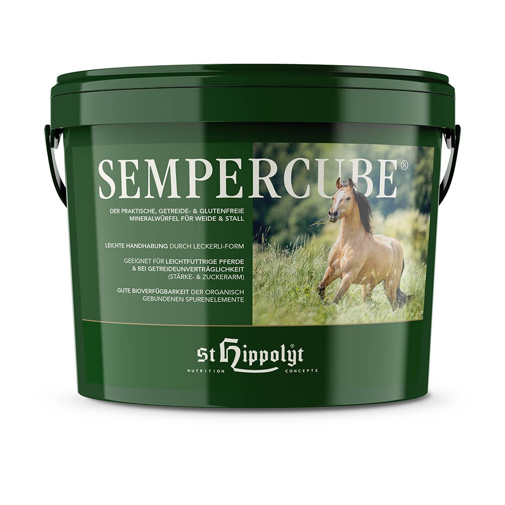 St. Hippolyt SemperCube_0