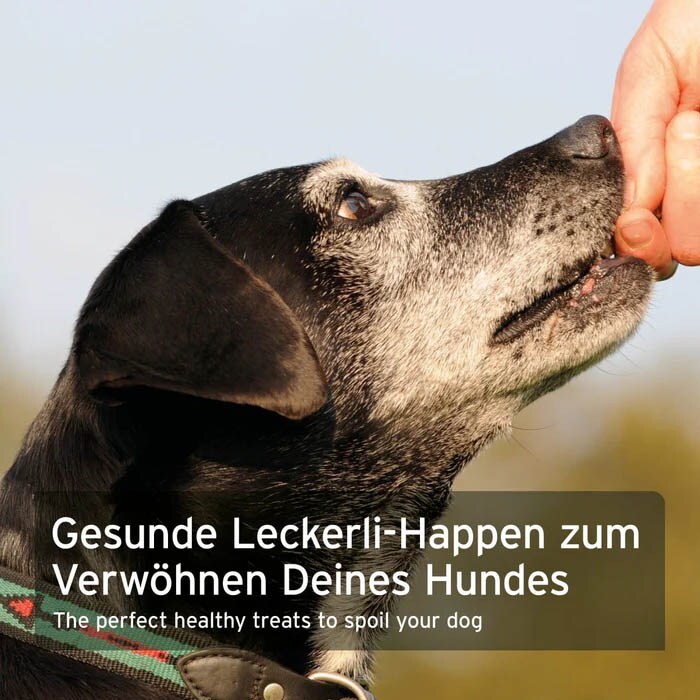 AniForte Dog Snacks Insekten_3