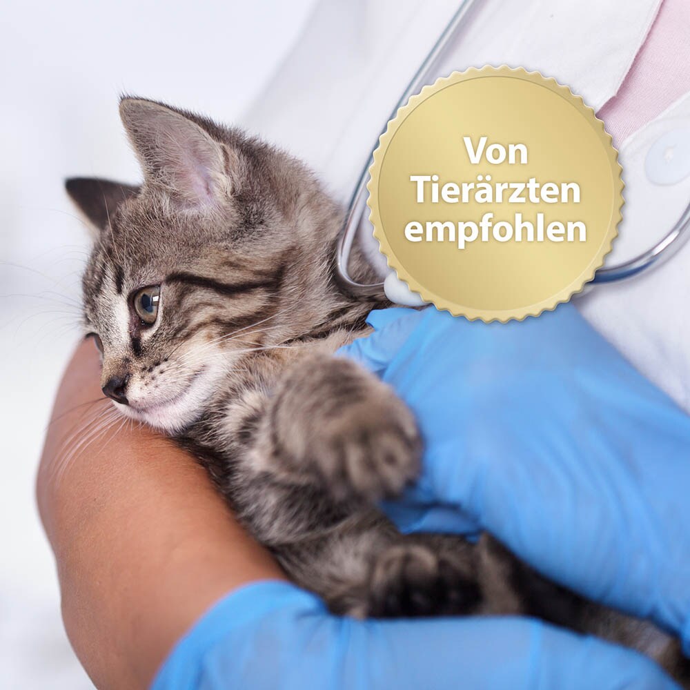 Felisept Home Comfort Spray für Katzen_3