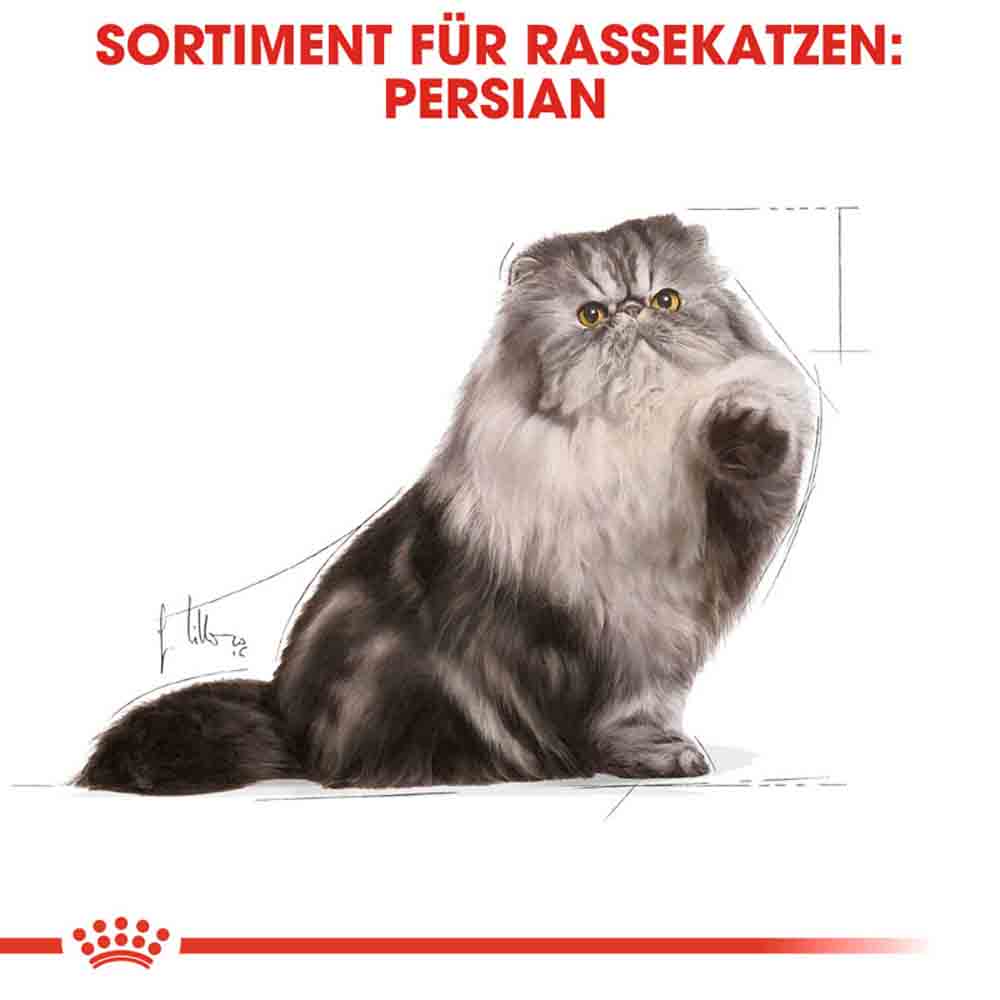 Royal Canin Persian Adult Katzenfutter nass für Perser-Katzen_2