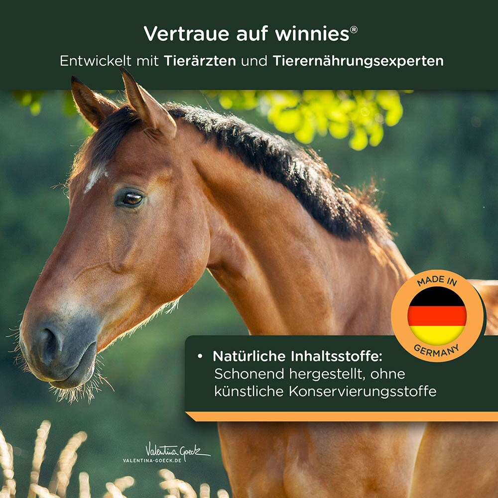 winnies Trojaner_5