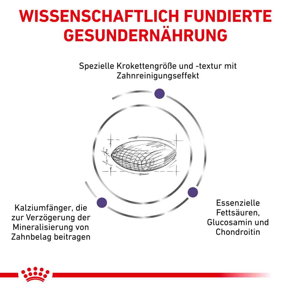 Royal Canin Expert Dental Medium & Large Dogs Trockenfutter für Hunde_3