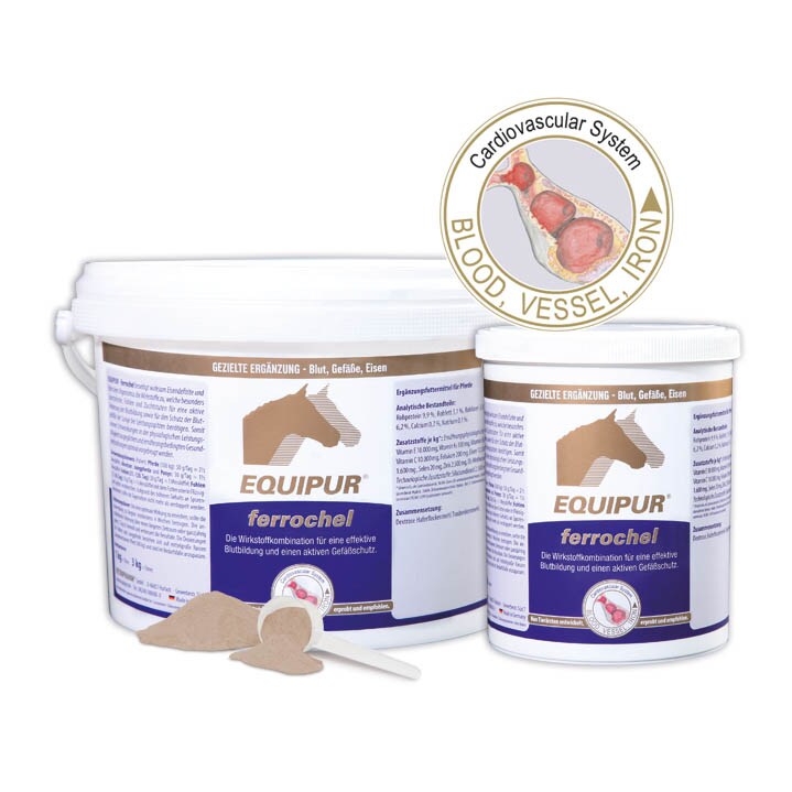Equipur ferrochel_0