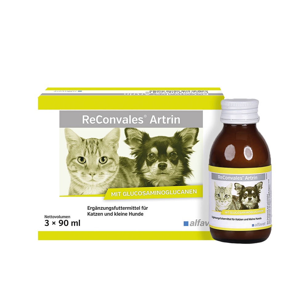 Alfavet ReConvales Artrin_0