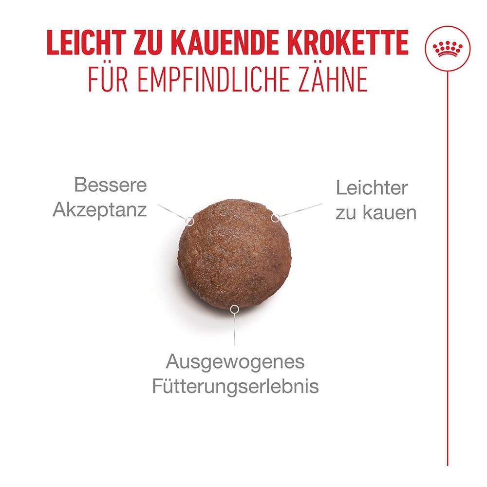 Royal Canin Ageing 15+ Trockennahrung für Senior Katzen ab dem 15. Lebensjahr_4
