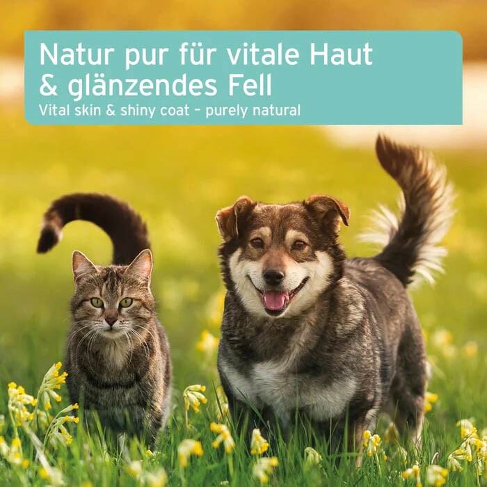 AniForte Fellharmonie Futteröl_4