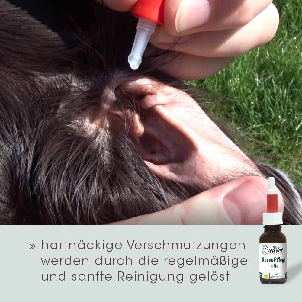 cdVet VeaVet Ohrenpflege mild_2