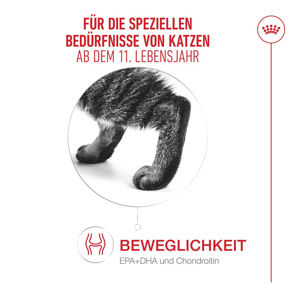 Royal Canin Ageing 11+ Trockennahrung für Senior Katzen ab dem 11. Lebensjahr_3