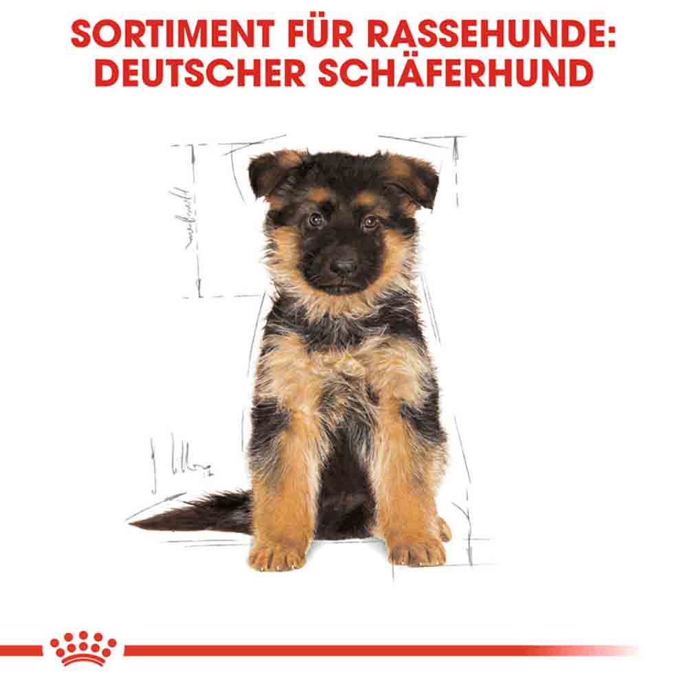 Royal Canin German Shepherd Puppy Welpenfutter trocken_5
