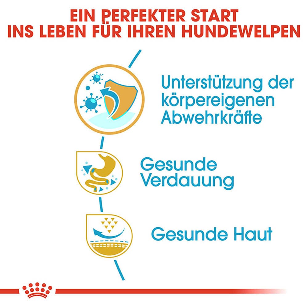 Royal Canin French Bulldog Puppy Welpenfutter trocken für Französische Bulldoggen_4